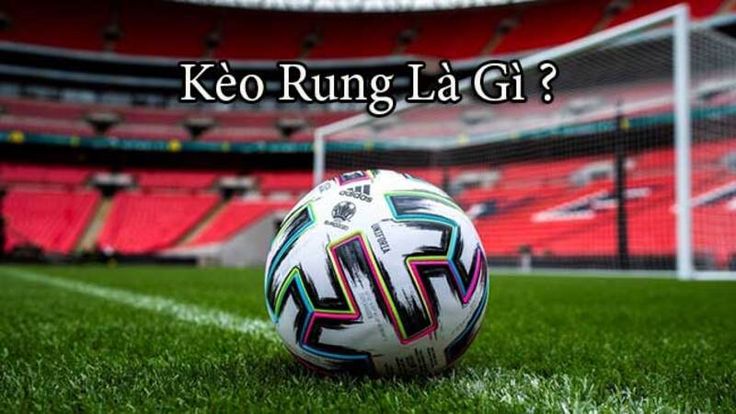 Kinh nghiệm soi kèo rung 2024 húp trọn tài lộc