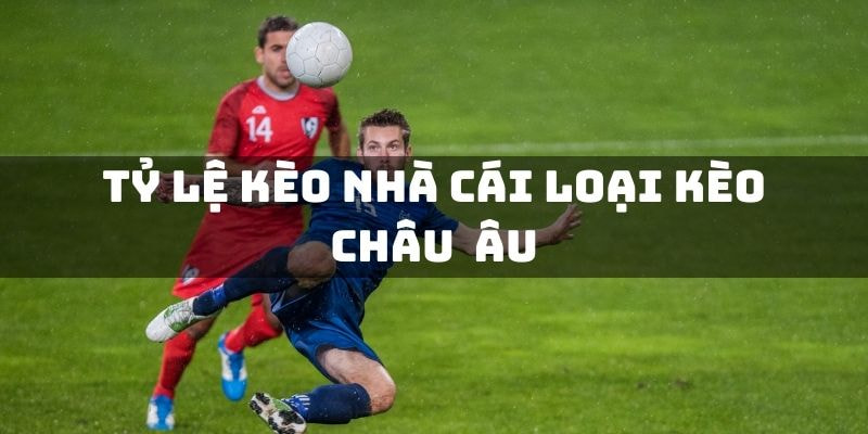 Tỷ lệ kèo là gì?